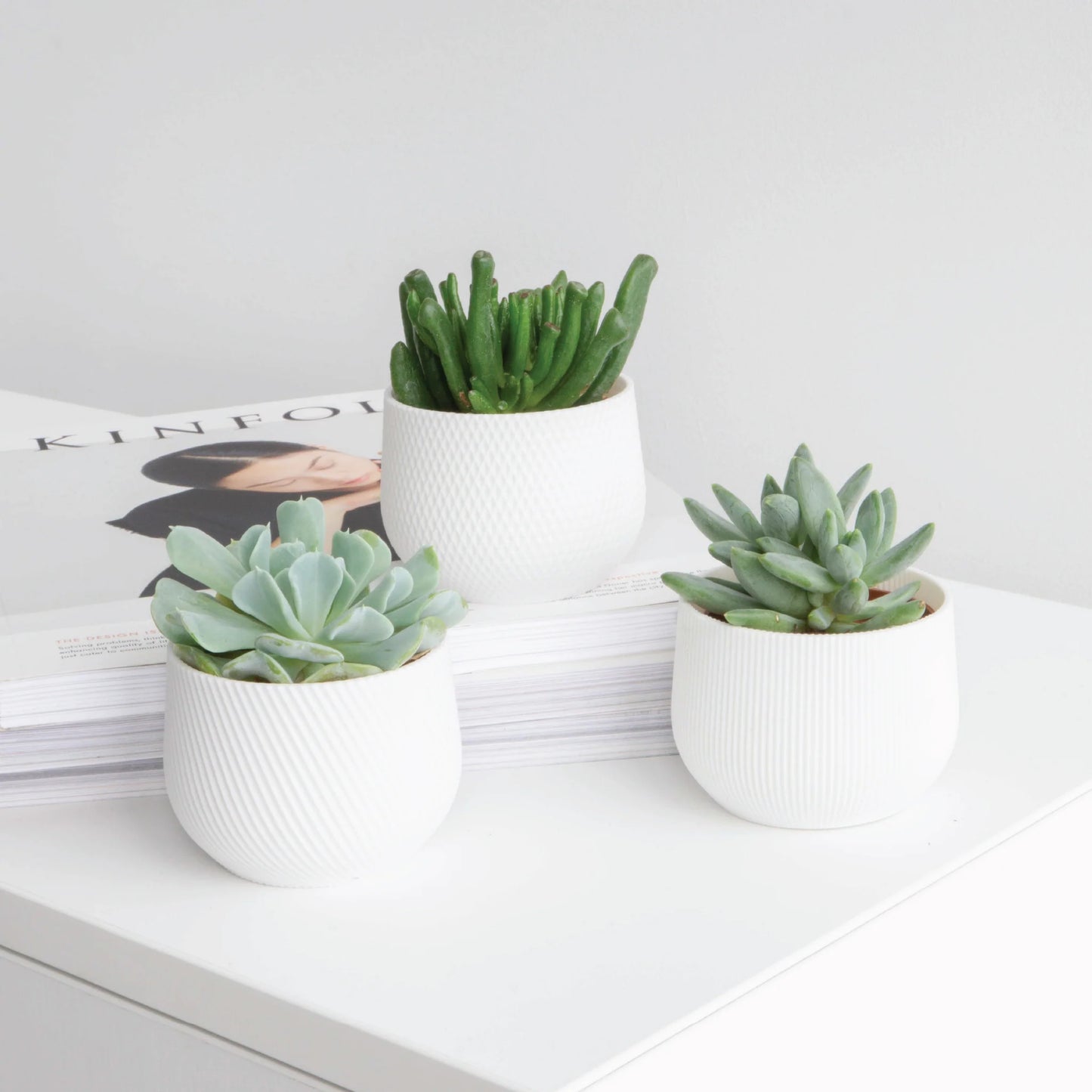 Conifer - Planter Set - White