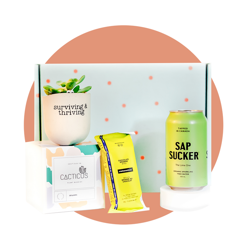 corporate gift boxes
