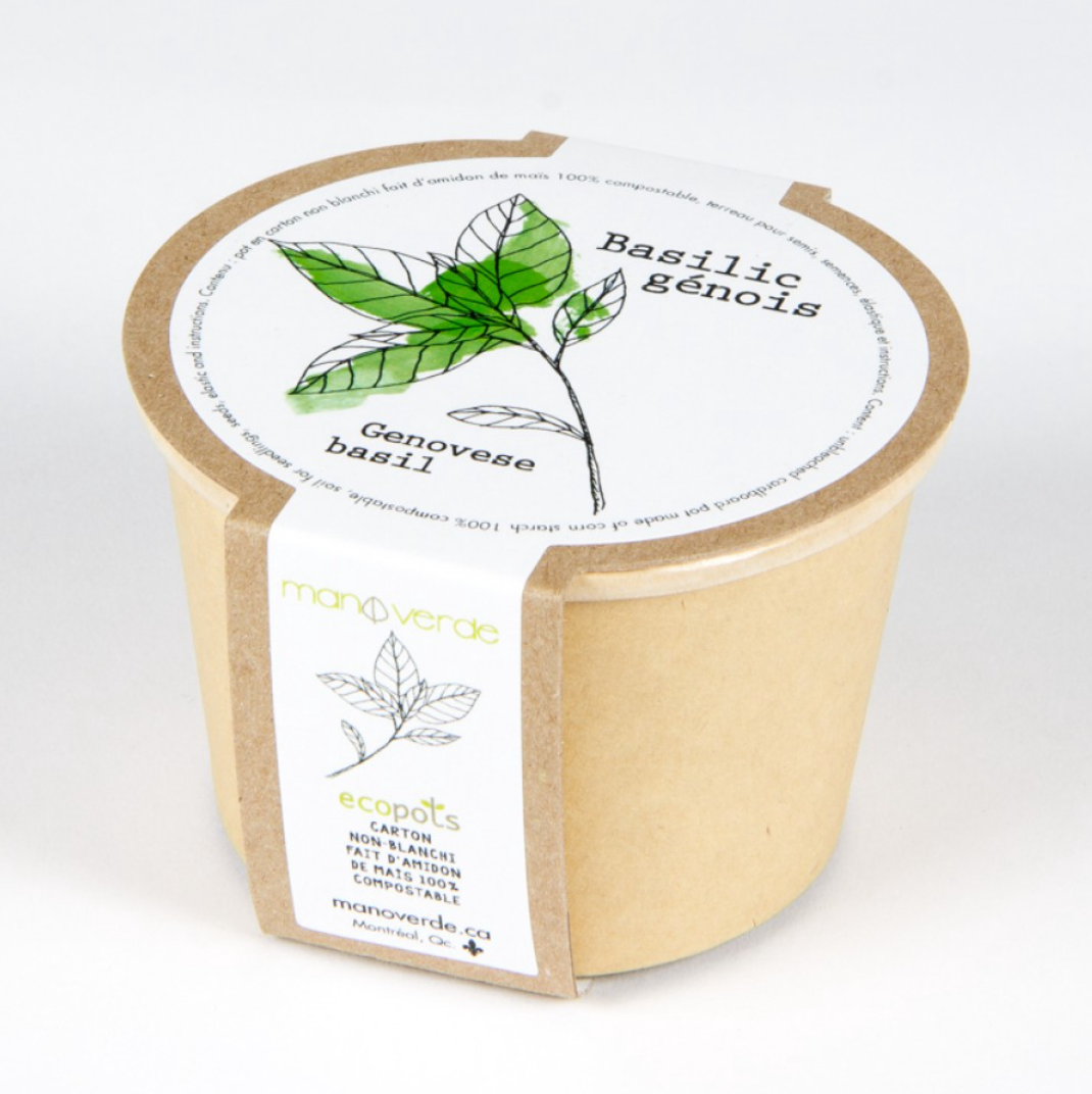 Basil Compostable Minipot