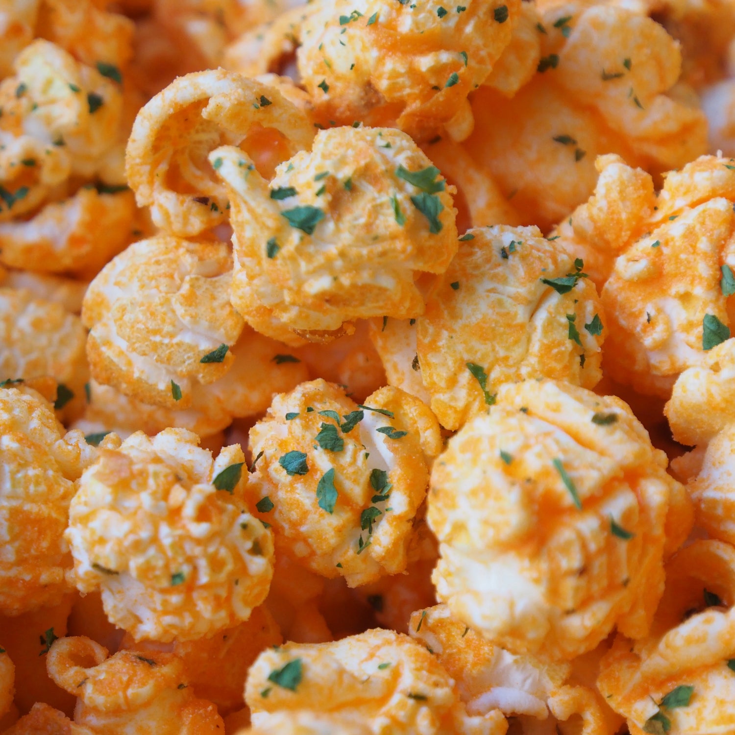 Toronto Popcorn Co. - Cheesy Dill Popcorn (6 cup bag)